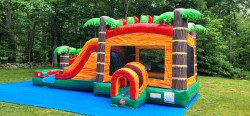 354580572 103543702783749 6750373863308916462 n 1686936846 Jungle Orange Bounce House With A DRY Slide